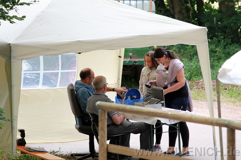 Mittsommerfest 2017 – Bild 56
